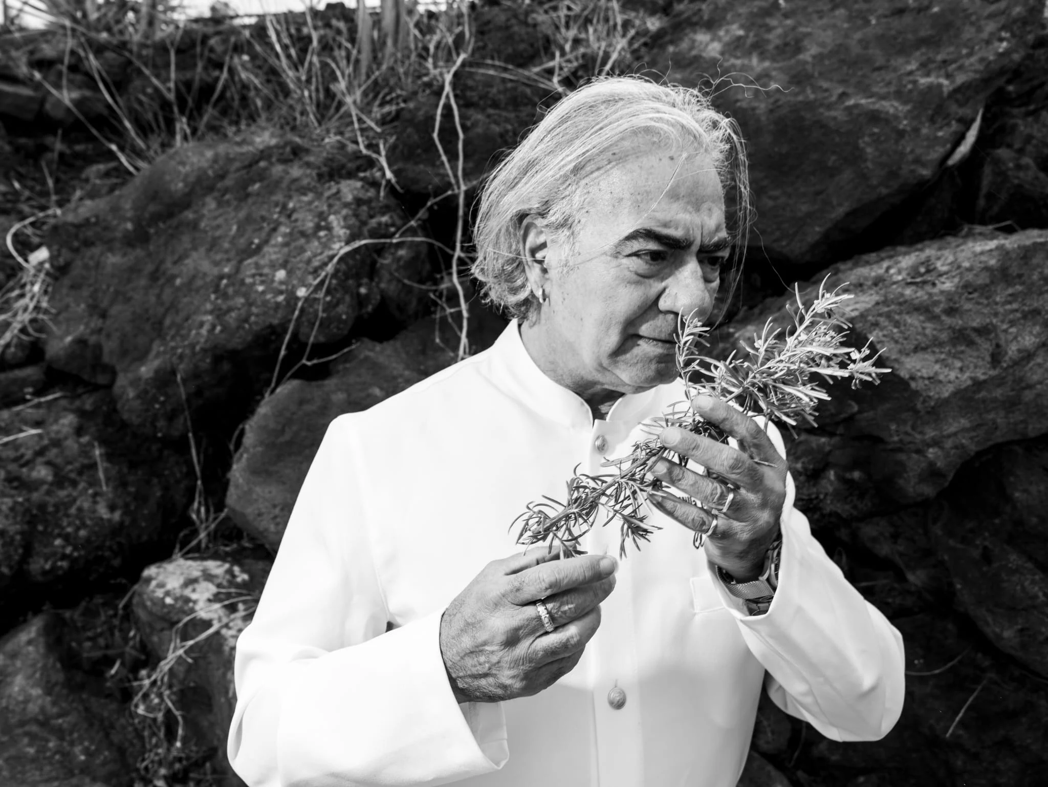 Claudio Trovato annusa un mazzo di rosmarino appena colto, in giacca bianca, davanti alla roccia lavica dell'Etna. Ritratto in bianco e nero.